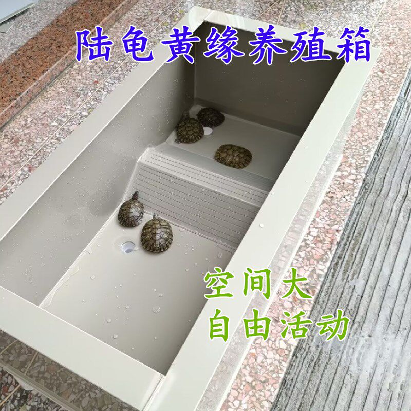 pp塑料黄缘养殖箱陆龟半水龟箱家用黄缘造景养龟箱水陆两用养龟缸