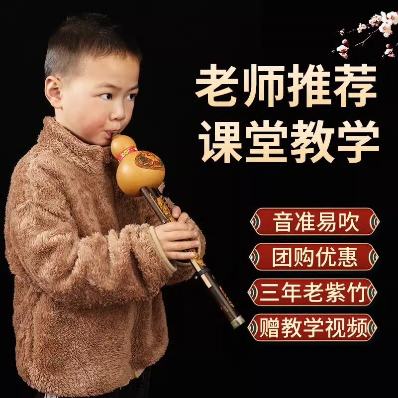 葫芦丝乐器C调降B调初学者儿童成人小学生专用D调F调专业演奏七孔