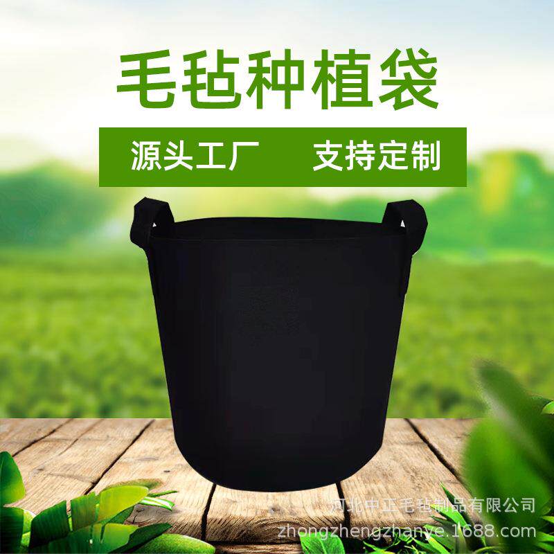 手提式毛毡植物种植袋袋蔬菜生长袋大号异型growbag无纺布美植袋