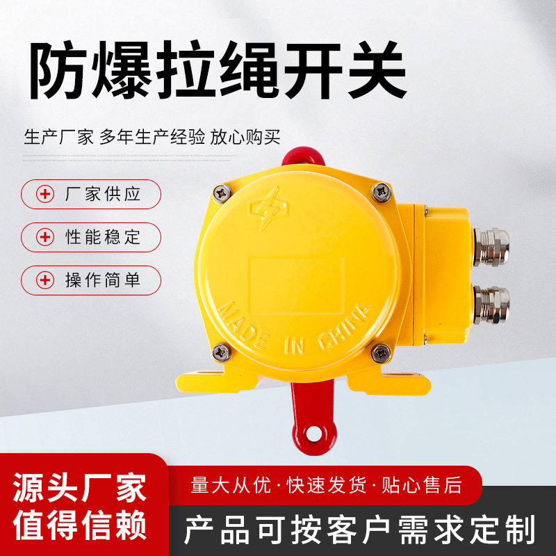 玻璃钢接线腔(后压)拉绳开关ZGLS-FJY防腐蚀塑料拉绳开关