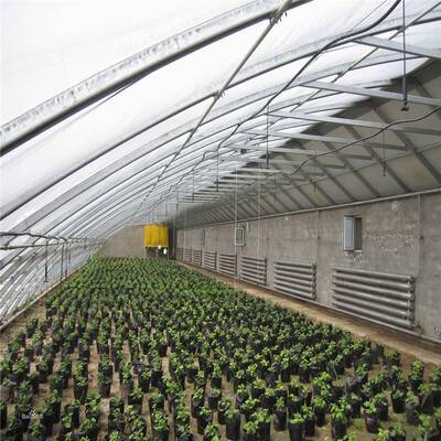 室大棚骨架蔬菜大棚养殖CSW温大棚连大棚种植大棚栋单体大棚