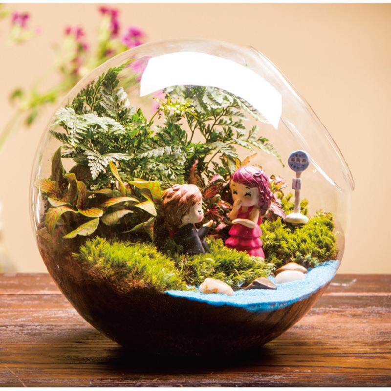 创意礼品苔藓情微景观意微景观创瓶套装侣婚求礼物tz-20181大号斜