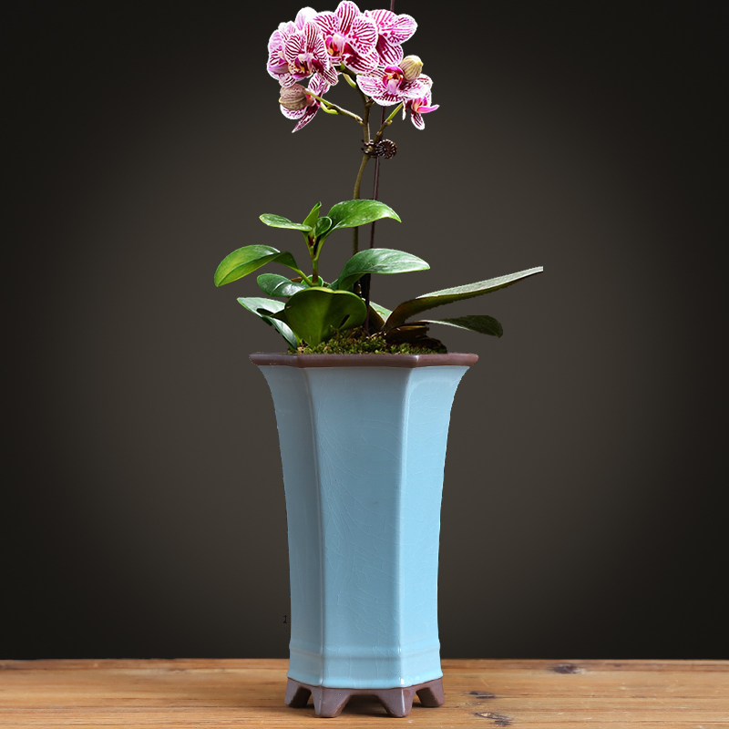 兰花专用花盆哥窑紫砂蝴蝶兰君子兰吊兰四方高盆盆景大号陶瓷家用