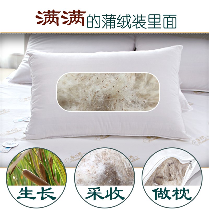 蒲绒枕头蒲棒水毛腊烛水烛香蒲枕芯单人枕护颈椎草透气清香枕头芯
