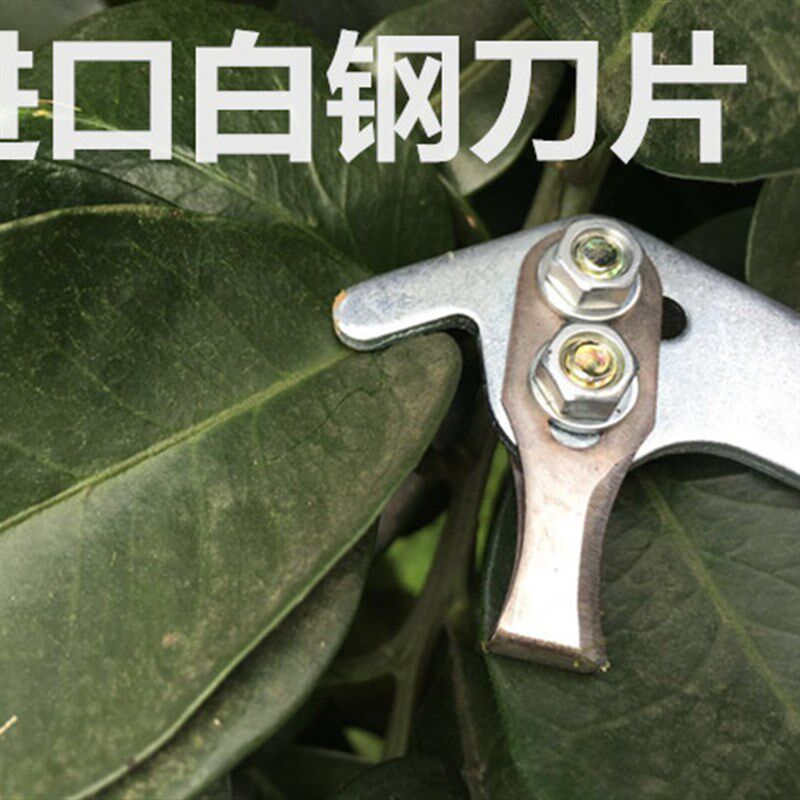 果树环剥蜜柚树环割剪环剥器荔枝树柑橘剥皮刀子枣树开甲工具包邮