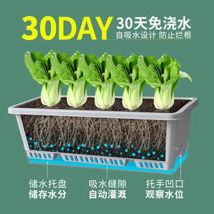 长方形花盆阳台种菜盆猪食槽种菜神器家庭种植箱塑料长条盆耐用厚