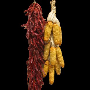 干玉米棒子装饰农家乐农作物挂件玉米串丰收节教学道具宠物口粮