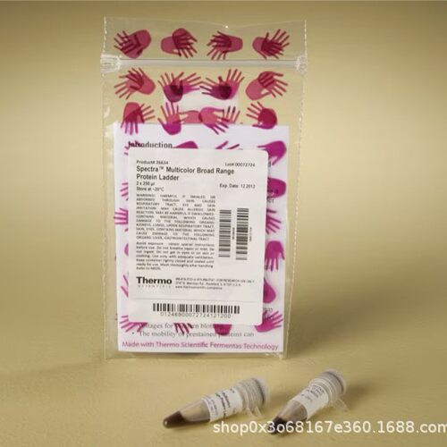 离子色谱赛默飞DIONEX高容量柱052962保护柱AG11-HC阴离子色谱柱