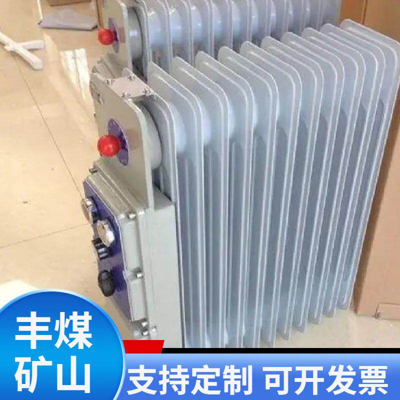 小型防爆油汀现货供应矿井下用取暖设备防爆电热取暖器