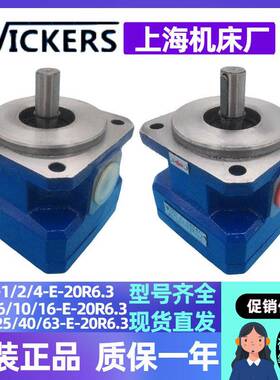 上海机床厂油泵GPA3-25/40/63-E-20R6.3海绵发泡机内啮合齿轮泵