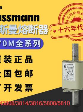 Bussmann170M系列保险丝快速熔断器170M3808/3814/3816/5808/5810