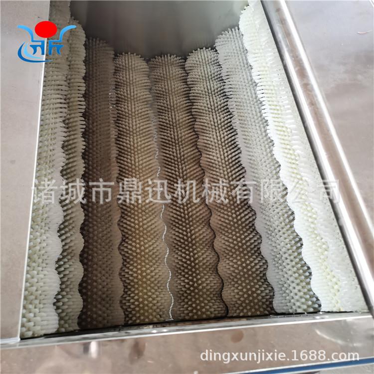 土豆脱皮清洗机辊刷式哈喇清洗机鼎迅带壳花生清洗机
