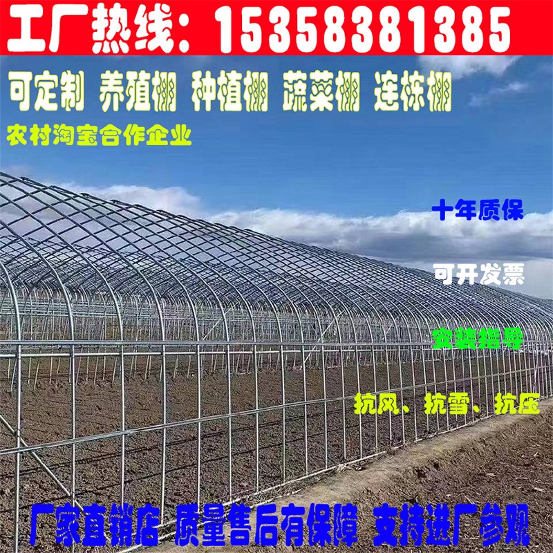 温室大棚骨架钢管养殖种植蔬菜通风全套支架冷热镀锌管定制黑白膜