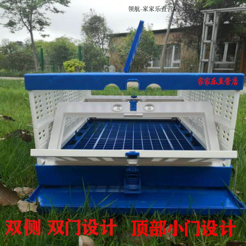 领航放飞训放笼压笼报道塑料折叠信鸽笼子集鸽赛鸽笼运输跳笼公棚