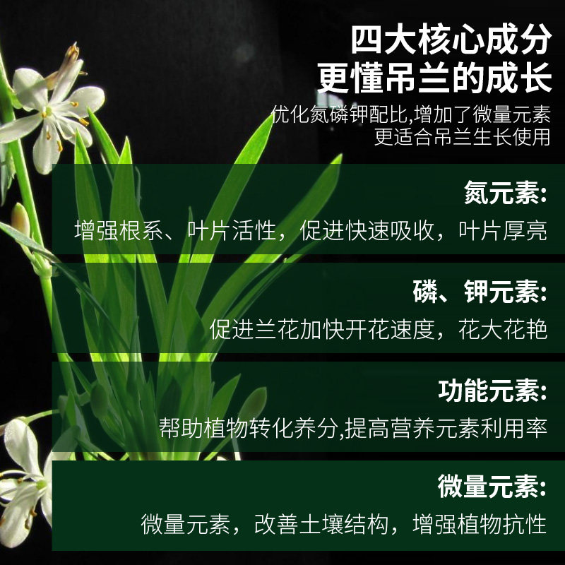 吊兰肥料绿植专用营养液通用富贵竹绿萝专用肥水培植物浓缩液体肥
