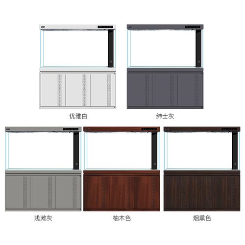 索一鱼缸客厅大型2024新款生态智能底滤超白隔断落地家用水族箱