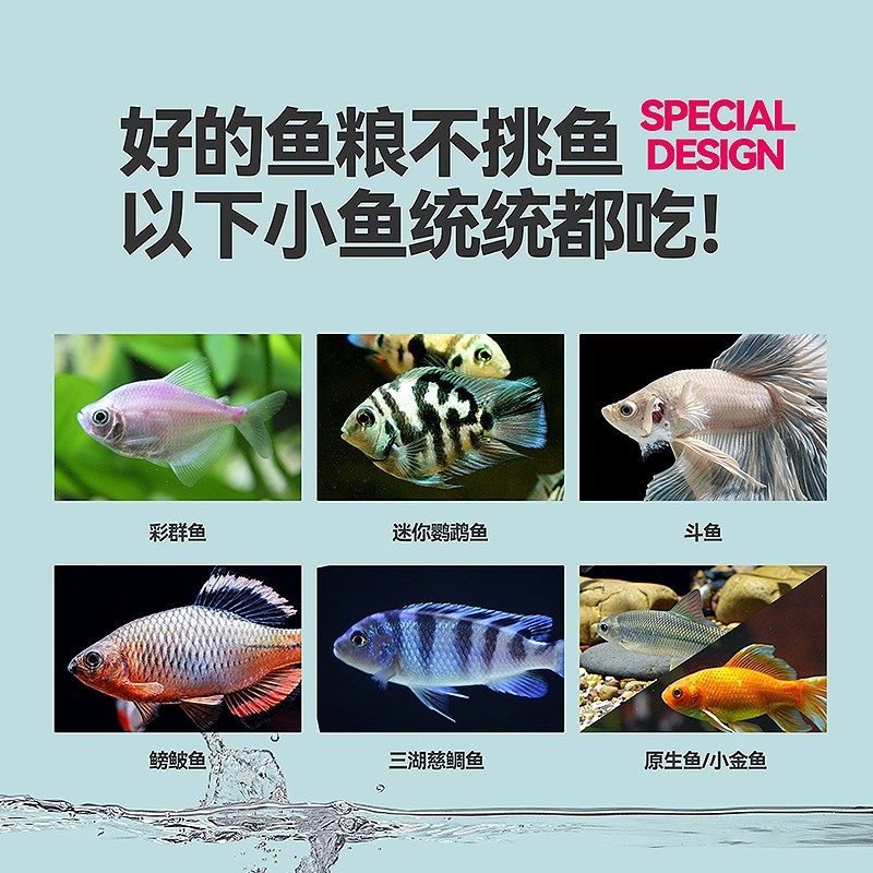 鱼粮小型鱼上浮鱼饲料迷你鹦鹉鱼青鳉彩裙鱼养鱼斗鱼小金漂浮鱼食