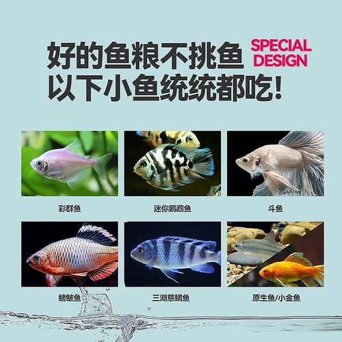 鱼粮小型鱼上浮鱼饲料迷你鹦鹉鱼青鳉彩裙鱼养鱼斗鱼小金漂浮鱼食