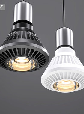 餐饮店餐厅饭店全光谱LED灯泡射灯光源Par 20 30 38聚光型24W 12W