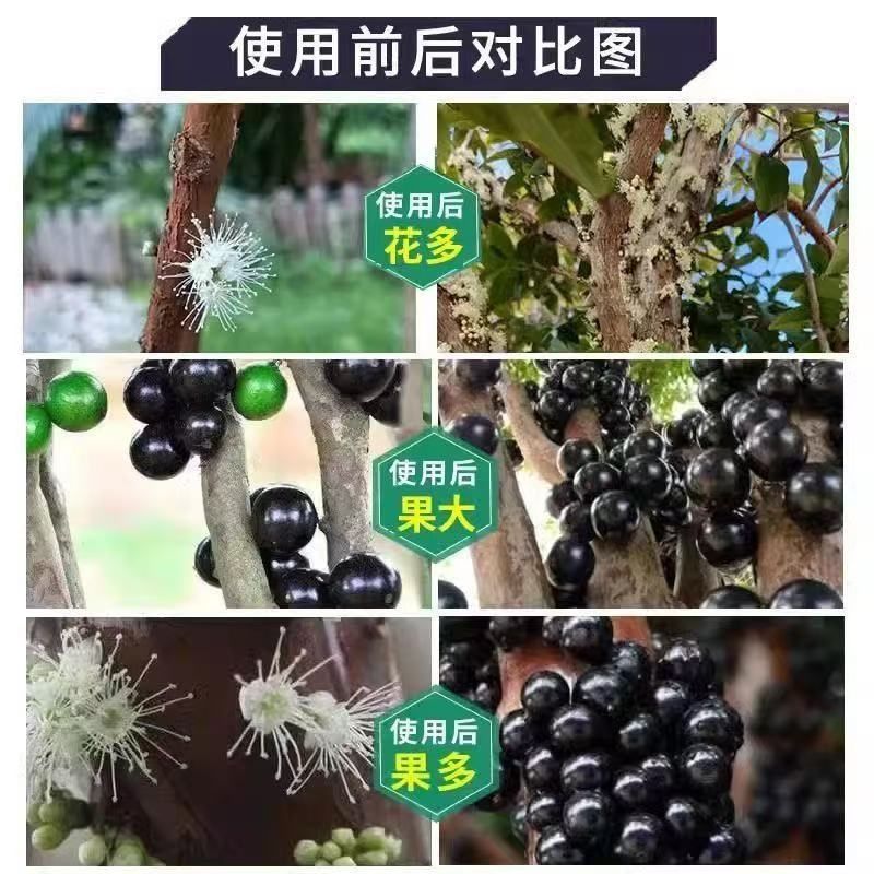 嘉宝果专用营养液果树增产生根催花促果嘉宝果树专用肥料四季肥,鲜花速递/花卉仿真/绿植园艺,家庭园艺肥料,淘宝优惠券,粉丝福利购,淘宝优惠卷