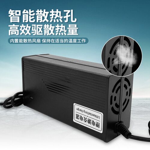 7串3.7v24三元聚合物锂离电池电动车充冲电器24V伏29.4V2AV5A10安