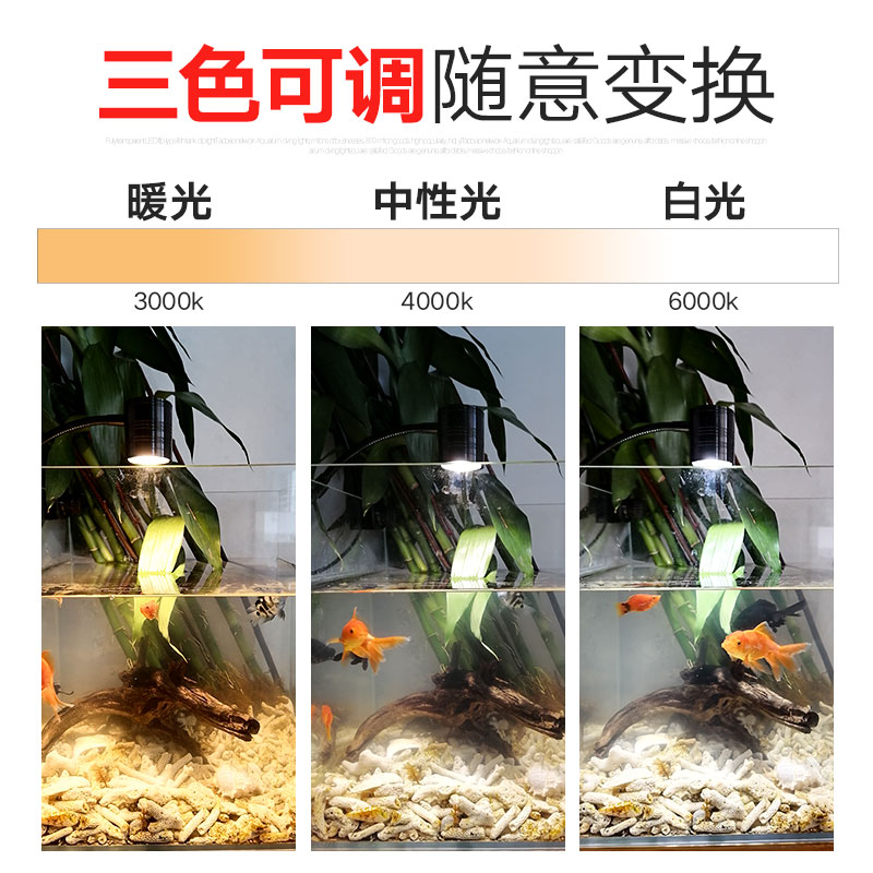 鱼缸南美射灯LED夹灯观赏鱼造景灯慈鲷原生缸溪流缸暖白光黄光