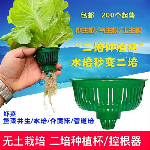 【定植杯】[包邮]二培种植杯水培基质土控根器营养钵育苗盘定植杯