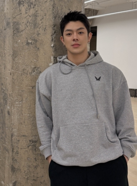 LEDP蝴蝶效应美式简约男装刺绣纯棉重磅运动休闲百搭宽松连帽卫衣