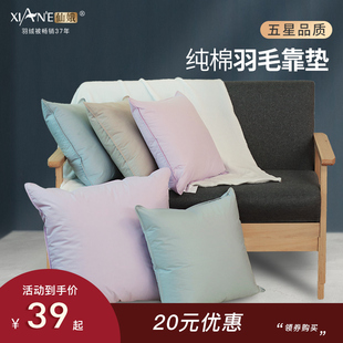 仙娥羽绒羽毛靠垫抱枕芯床头沙发客厅护腰汽车大靠背座椅定制双人