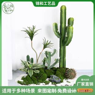 热舌内带仿真仙人掌JH66528龙兰盆栽室场装饰摆景件仙人柱套装假