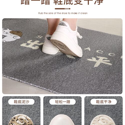 入户门地垫进门门口脚垫玄关2023新款丝圈门垫耐脏除尘进户门地毯