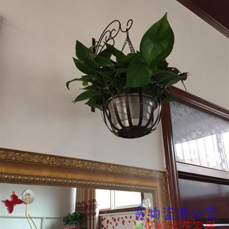 欧式铁艺花架 花盆架/壁挂式铁艺花架 吊篮 花篮 悬挂支架置物架图片