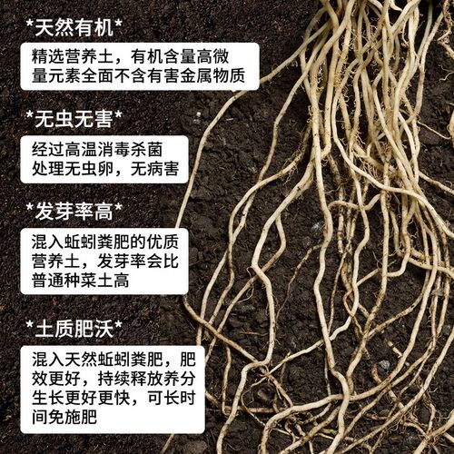 种菜专用土蔬菜营养土阳台育苗家庭有机肥料种植泥土壤盆栽种菜土
