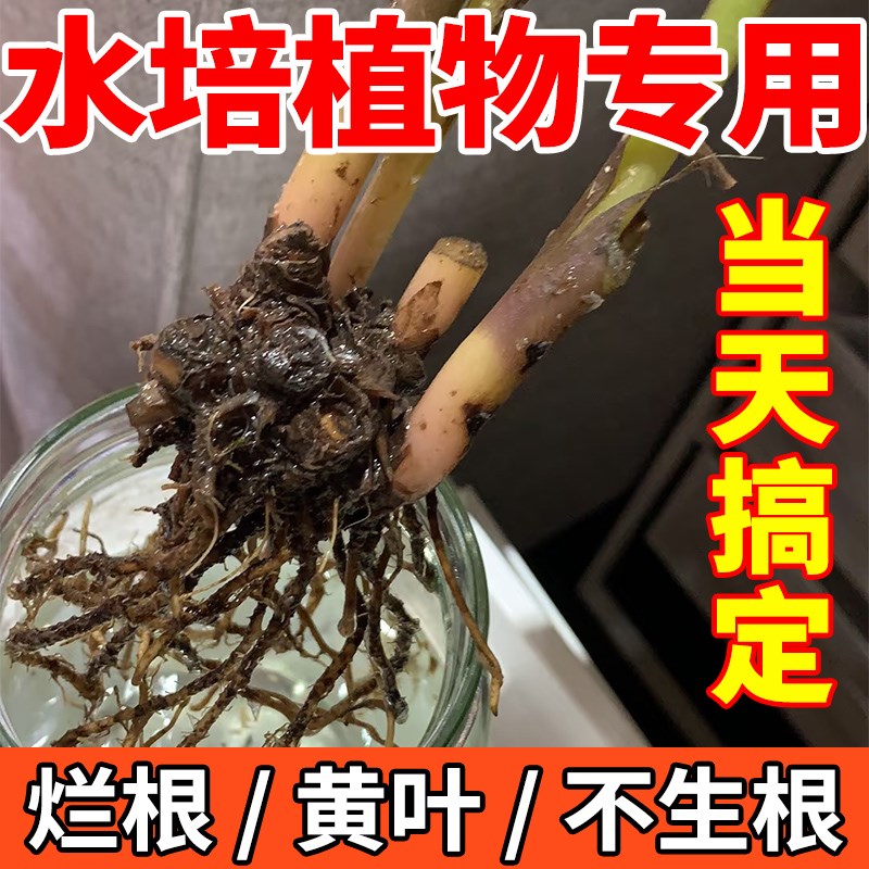 水培植物黄叶烂根药家用富贵龟背竹不生根风信子栀子花通用营养液