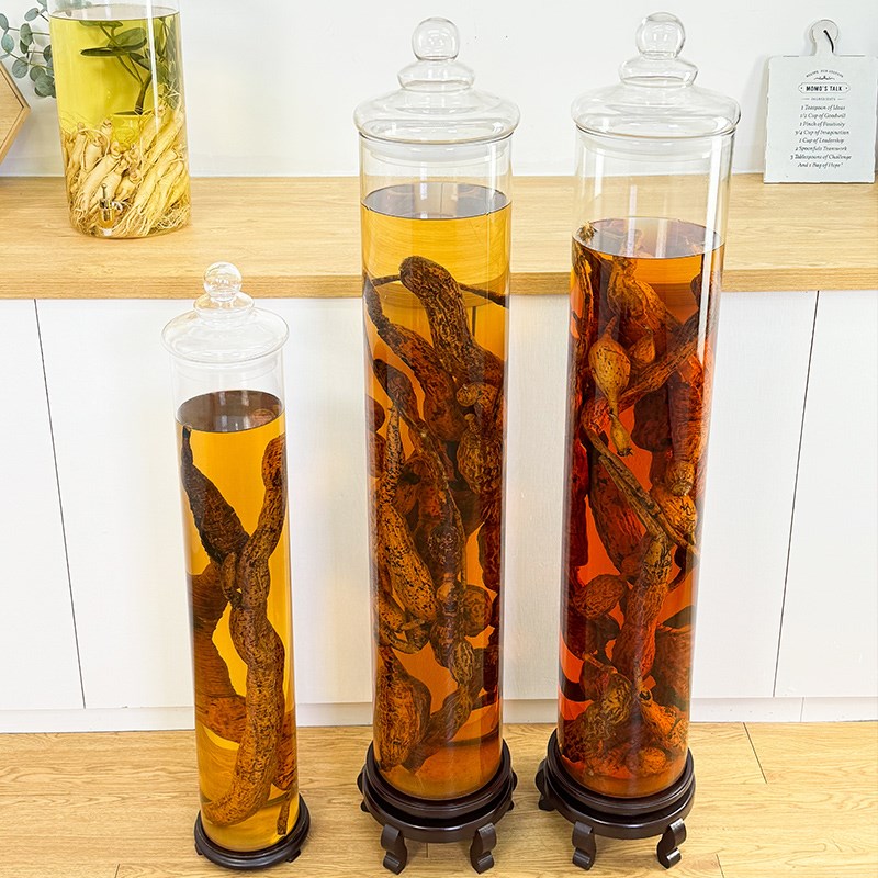 高档泡酒专用酒瓶高硼硅玻璃密封罐大号加厚长药材人参牛大力酒坛