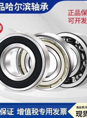 哈尔滨轴承6018 6019HRB6020 6021 6022 6024RZ6026 6028 6030 2Z
