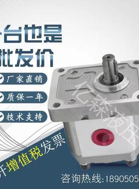 邦迪奥利BONDIOLI齿轮泵HPLPA114/119/124/131/136/144SDDE3E3BST