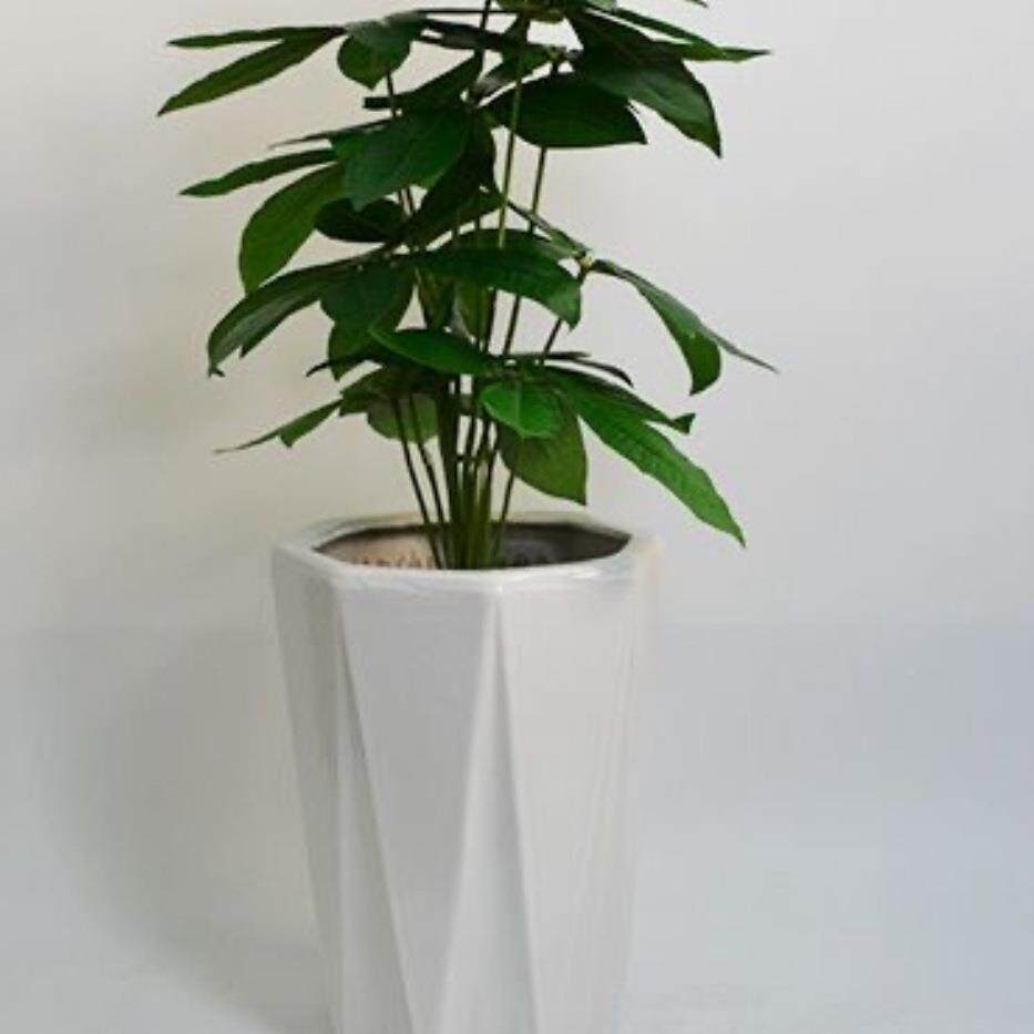 八脚异形筒落地中号大号特大号高F9588J6J陶花盆尾散葵绿萝发财树