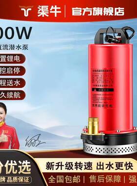 充电式无线抽水1泵外锂电潜水泵农用户灌溉V浇菜2NNH遥控启停抽水