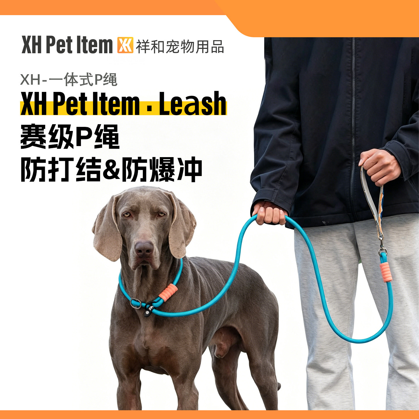 赛级P链牵引绳狗狗防爆冲遛狗P绳大中型犬金毛拴狗绳户外宠物用品
