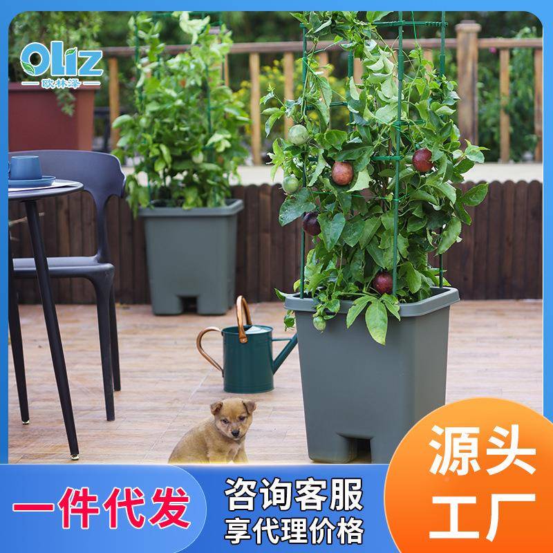 新款加深种菜盆懒形塑料花盆阳人台菜种种D205花特大长方种植槽