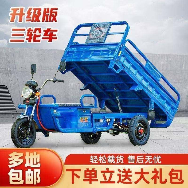 家国车标电三轮车IID拉货新款动快递载重用农用电瓶货车成人摆摊