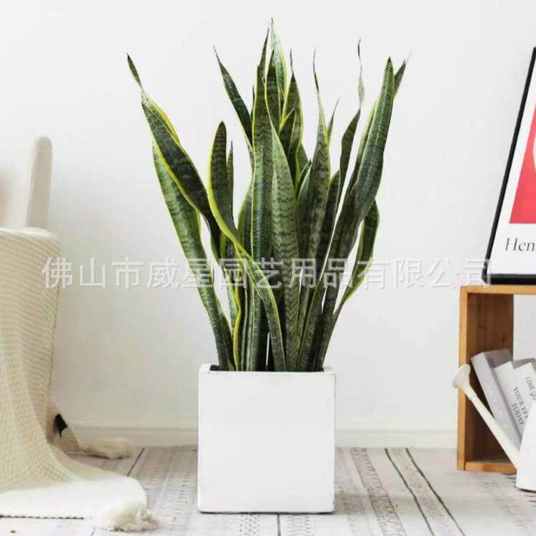 滑特大塑料花盆正PF正方盆方形移动轮磨砂客厅号树盆栽脂花盆