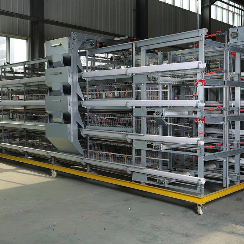 生产厂家全自动肉鸡笼镀锌鸡笼肉鸡养笼大子型鸡场SCL自动化殖设