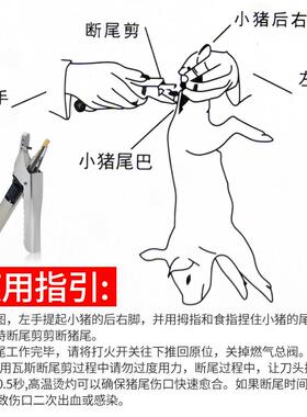 仔断尾ZFO钳猪锈钢断尾钳仔猪剪尾钳电热猪瓦斯断尾不钳猪场用设