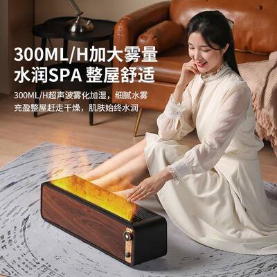 严火选电暖气暖风卧室节能加热器古机仿真双焰加NF2305湿取复暖器