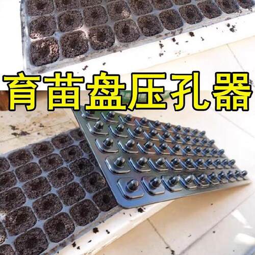 穴盘压孔器点播辣椒培育苗盘手推小型水培菜籽播种器莴笋手动省力
