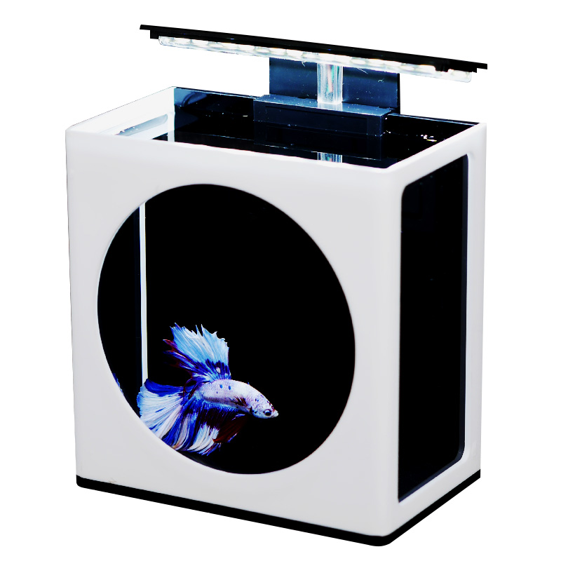 泰国斗鱼缸简约斗鱼活鱼展示缸办公室生态微缸观赏鱼迷你桌面鱼缸