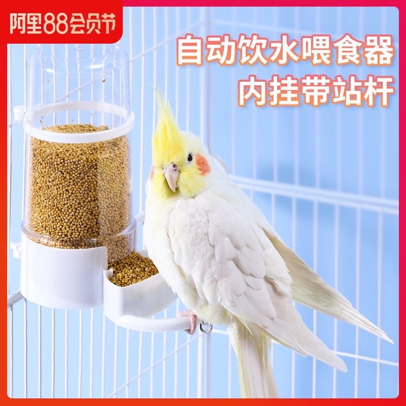 鹦鹉自动下料器新款喂鸟器鸟笼用品绣眼鸟食罐鸟用饮水食盒喂食器,宠物/宠物食品及用品,鸟禽喂食器/喂水器,淘宝优惠券,粉丝福利购,淘宝优惠卷