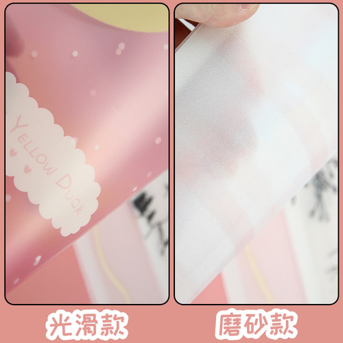卡通可爱透明磨砂PP文件袋A4加厚拉边袋档案袋试卷袋收纳文具套装
